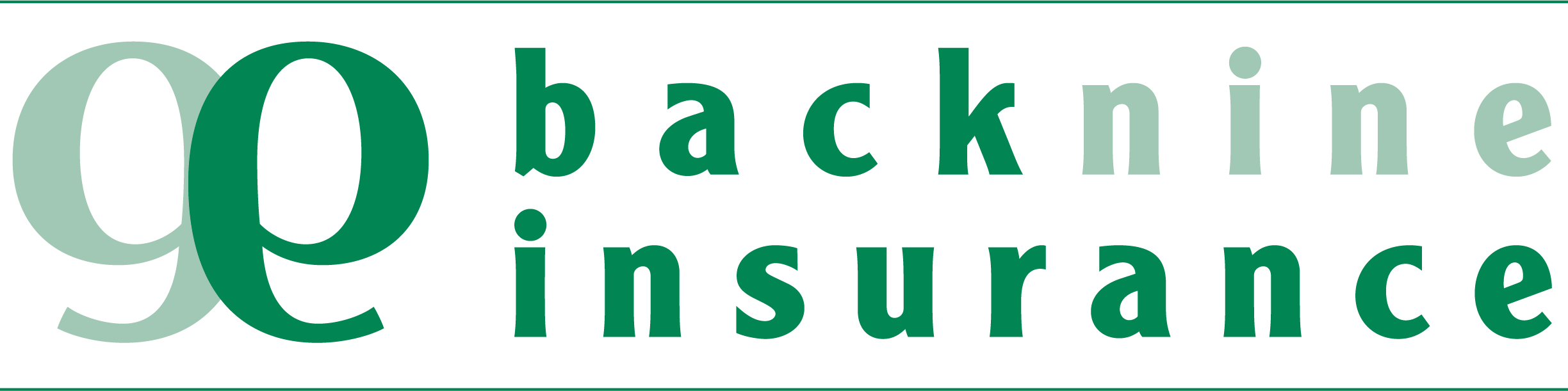BackNine Insurance and Financial Services Logo